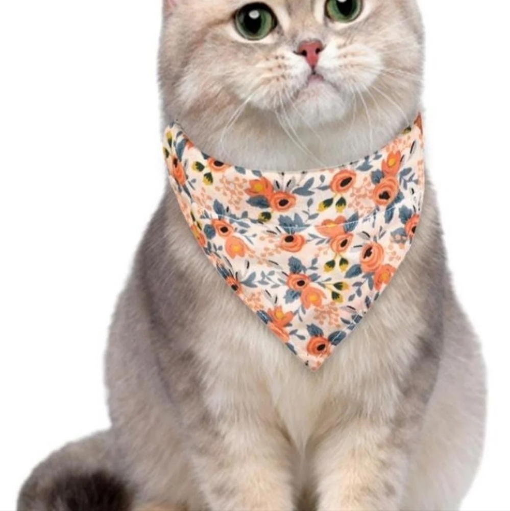 Bandannas pack of 3